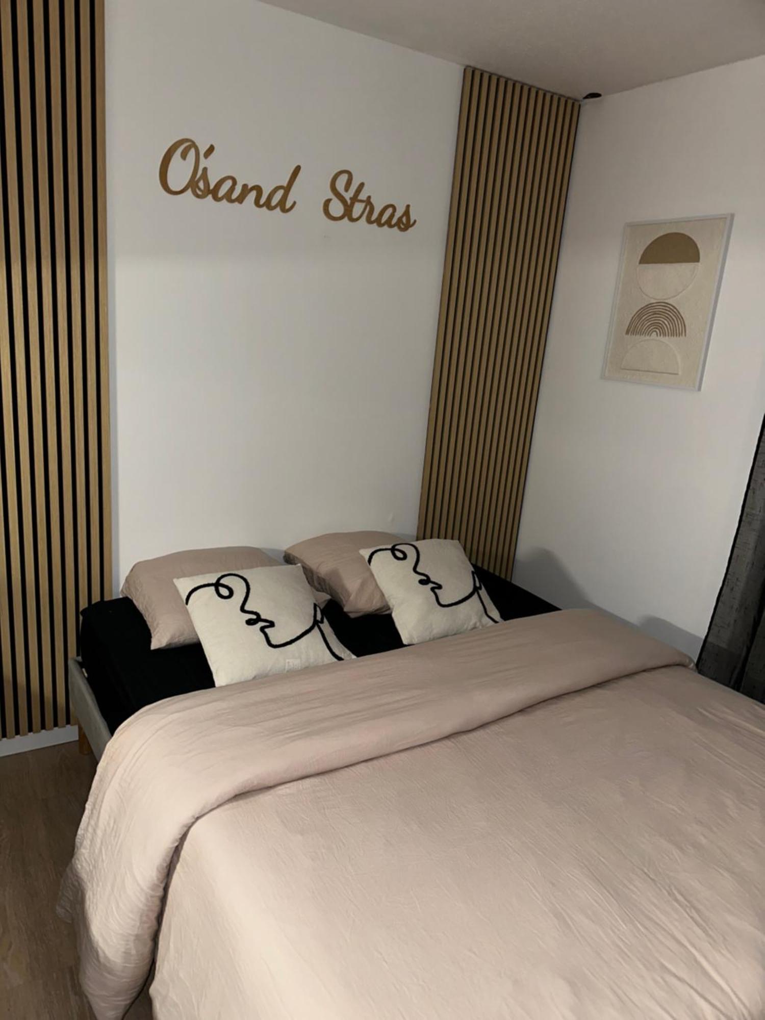 O Sand Stras Studio 25M Carre สตราสบูร์ก ภายนอก รูปภาพ