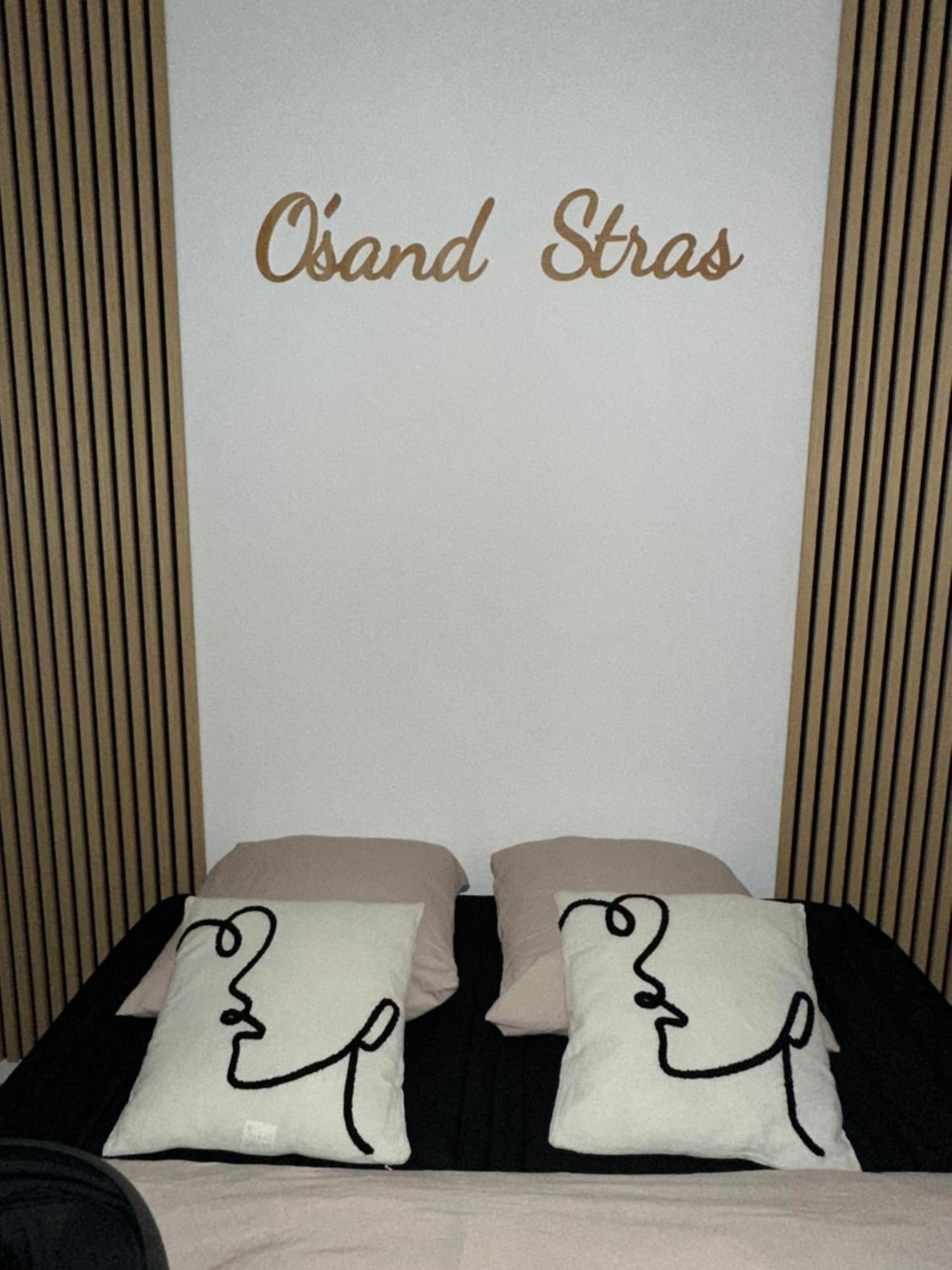 O Sand Stras Studio 25M Carre สตราสบูร์ก ภายนอก รูปภาพ